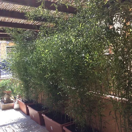 Casa Tacconi-3